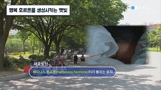 행복 호르몬을 생성시키는 햇빛 / YTN 사이언스