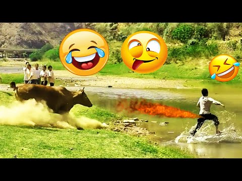 TRY NOT TO LAUGH 😆 Best Funny Videos Compilation 😆 Memes PART 168