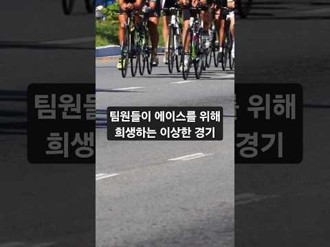 투르드프랑스의 인기 비결은 희생 – 자크 고데 #투르드프랑스 #팀워크 #자전거명언