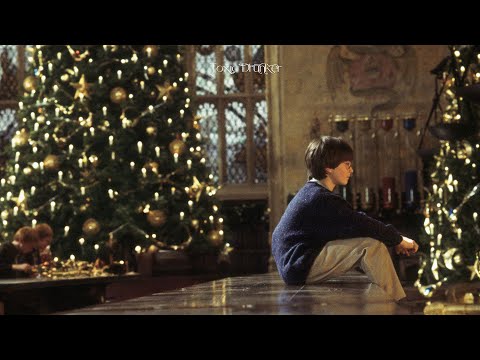 You’re Studying In The Library at Hogwarts on Christmas Day 🎄 | Dark Academia Playlist