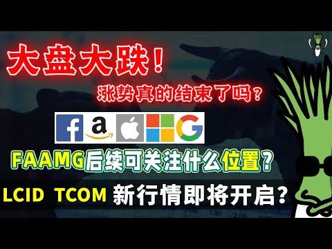 美股大盘大跌！可以抄底了吗？ FAAMG 后续可以关注什么位置的操作机会？ LCID TCOM的新行情即将开启？ | CHIVEST 带你“聊”美股 | 07.10.2021