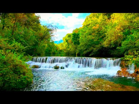 Relaxing Music for Stress Relief, Sleeping, Healing, Calm, Study - Beautiful Nature & Water Sounds