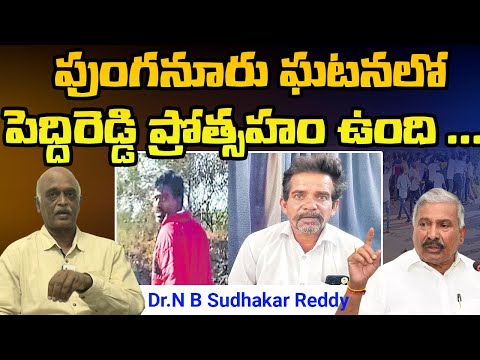 Peddireddy's Involvement in the Punganur Incident || DrNBSudhakar Reddy || @Icon Politics