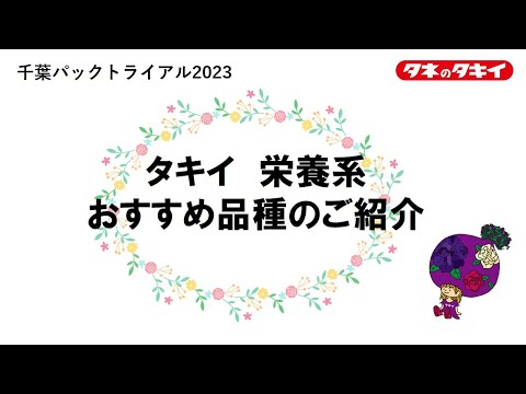 【園芸】2023‐2024　栄養系　タキイおススメ品種