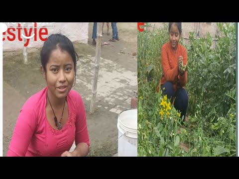 आज घर के कम कर  के  मम्मी  के साथ खेत में गए हैं || kajal new || vlogs video || village lifestyle