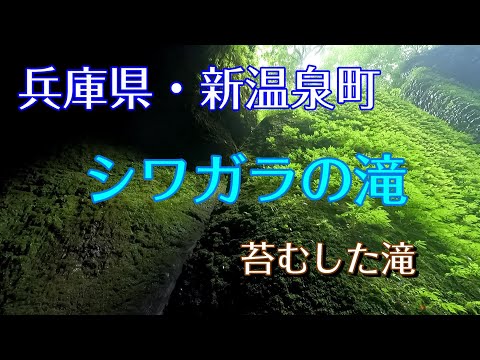 兵庫県 苔むした名瀑 シワガラの滝 ソロツーリング