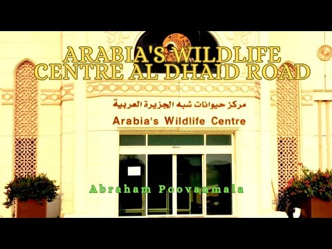 Arabia's Wildlife Centre Al Dhaid Road Sharjah#Abraham Poovanmala