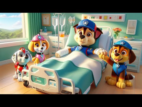 Paw Patrol Ultimate Rescue | CHASE Has Twin Brother? But He is SICK | Very FUNNY Story | Rainbow 3