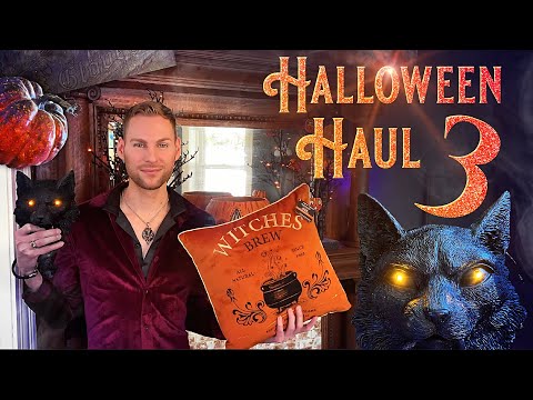 Halloween Shopping Haul 3 Vlog! - Halloween Decorations - HomeGoods, Michael's, Dollar Tree, & More!