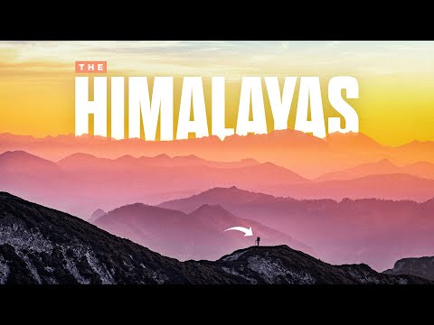 Unexplored Uttarakhand | Episode-2 | Alpine Style | Asia's Largest Meadows Ali Beni Bugyal |4K | DJI