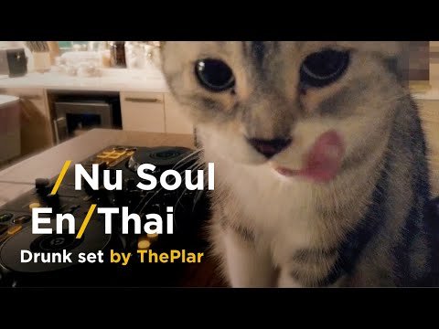 Nu Soul / EN/THAI Set DJ DRUNK SET (Cat included) by ThePlar