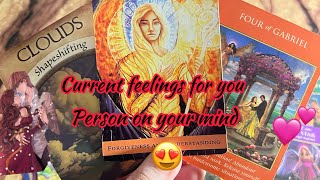 Person on your mind : Current Feeling/emotions of your person💞Hindi tarot card reading