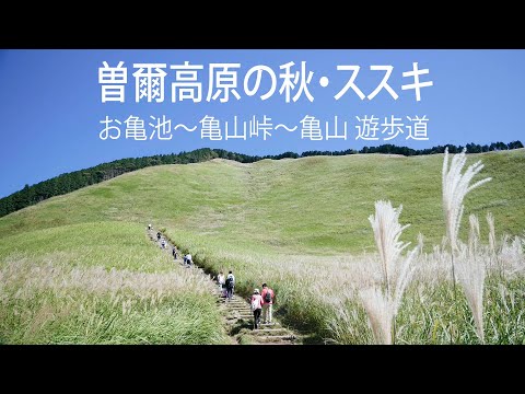 曽爾高原　秋のススキ 2021（お亀池～亀山峠～亀山）