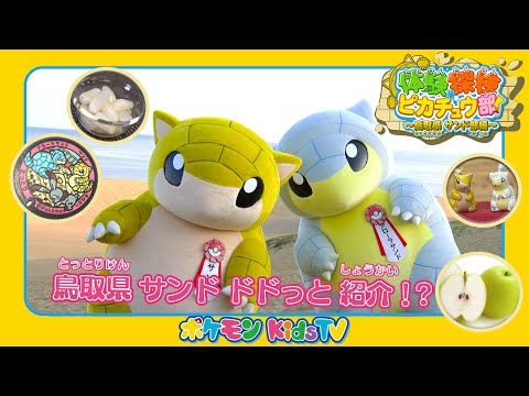 【ポケモン公式】体験探検ピカチュウ部！「鳥取県サンド部編」－ポケモン Kids TV