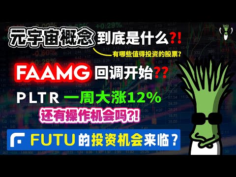 元宇宙概念 到底是什么，有哪些股票值得投资？FAAMG股回调开始？PLTR一周大涨12%！还有操作机会？FUTU的投资机会来袭？| CHIVEST 带你“聊”美股 | 20.9.2021