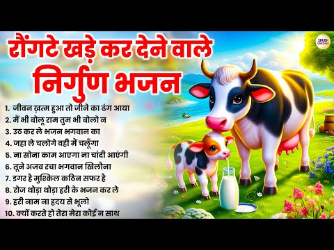 रौंगटे खड़े कर देने वाले निर्गुण भजन | Nonstop Nirgun Bhajan | Satsangi Bhajan | Nirgun Bhajan 2024