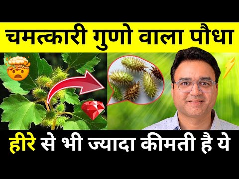 लाखों की दवाइयाँ भी फेल है इस जंगली पौधे के सामने, मिल जाए तो छोड़ना मत | Healthy Hamesha