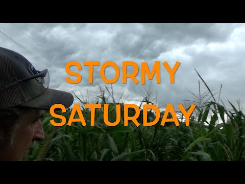 Stormy Saturday