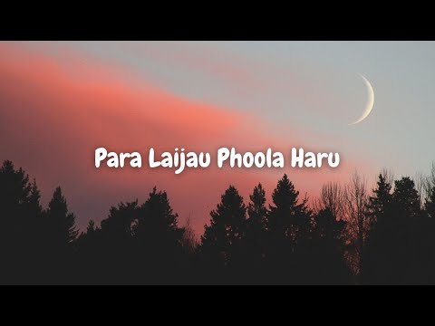 Para Laijau Phoola Haru (Lyrics)