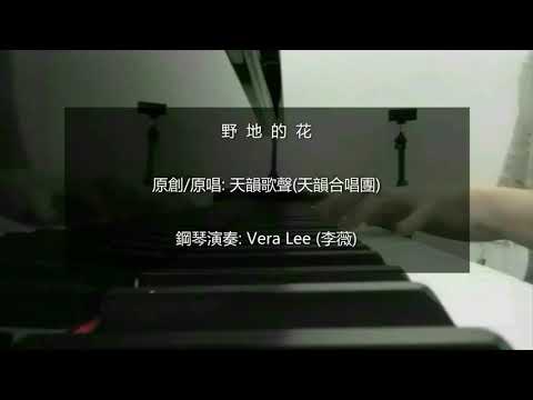 野地的花 (讚美詩歌) 鋼琴演奏: Vera Lee (李薇)