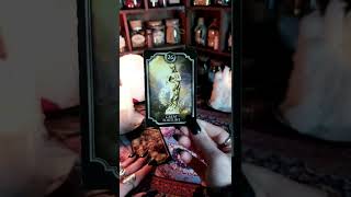 Your Next Week | Red Fairy Tarot #shorts