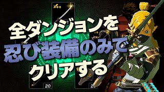 オールダンジョン装備縛り攻略解説『忍び装備編』【ゼルダの伝説 ティアーズ オブ ザ キングダム】