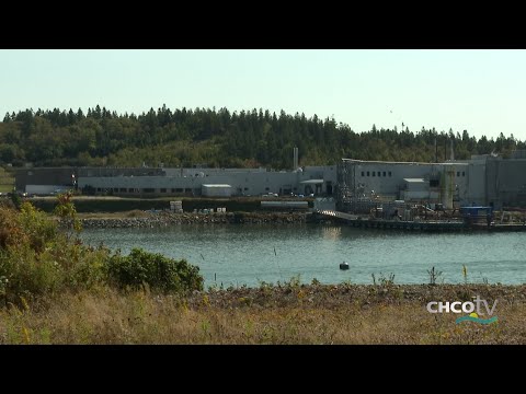 CHCO-TV NewsBreak26 with Nathalie Sturgeon: Connors Bros. Laid Off 20% of Blacks Harbour Employees