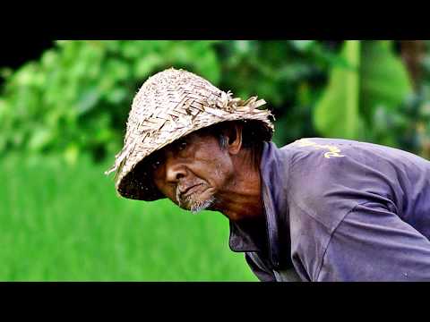 Travel in BALI - Rural Live in Ubud