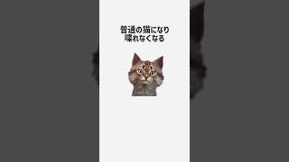 猫元パトに関する面白い雑学⑬ #shorts