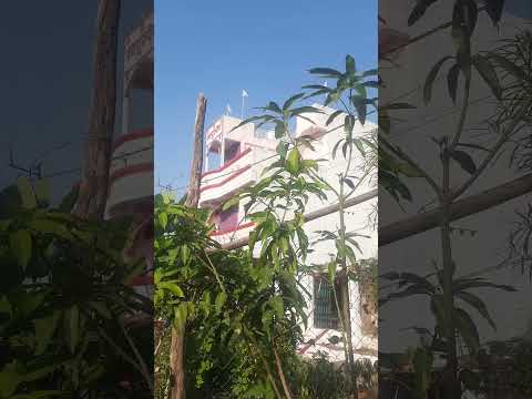 #garden #trees #fresh #video #masti