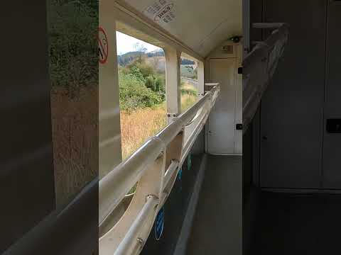 Retirement Travelers: COASTAL PACIFIC TRAIN in New Zealand #shorts