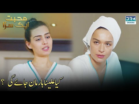 Noor Or Aleena : Who Will Get Ali | Never Let Go | UA2F