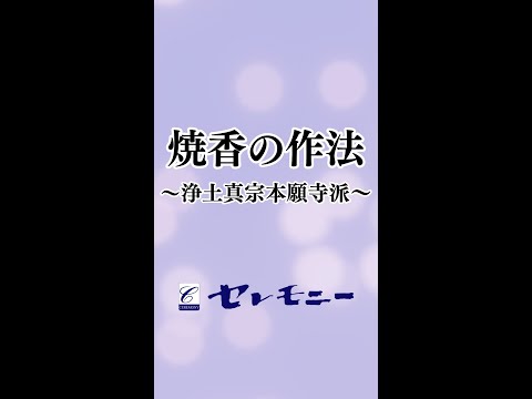 焼香の作法〜浄土真宗本願寺派〜【セレモニー】#Shorts