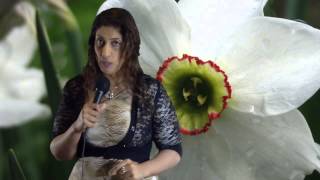 Pisces April 2014 Monthly Astrology Horoscope by Nadiya Shah