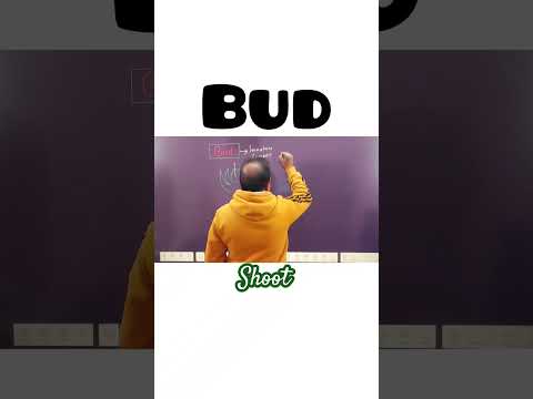 Bud#shortsfeed#shortfeeds#education