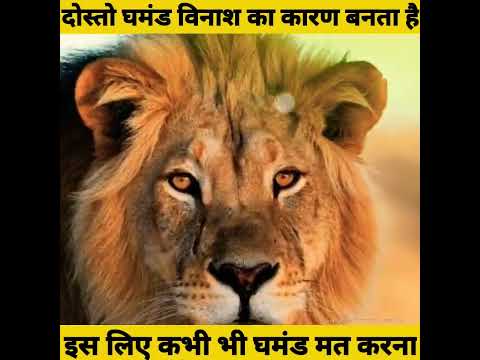 घमंडी शियार और शेर की प्रेरनादायक कहानी | Moral Stories | Hindi Kahani | Motivation story | #shorts