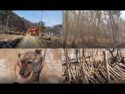 farm story 귀농 귀촌 브이로그 시골일상 : 팜팸의 농장 소개 country life, vlog