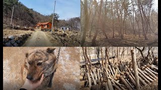 farm story 귀농 귀촌 브이로그 시골일상 : 팜팸의 농장 소개 country life, vlog