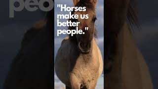 The Heartbeat of Horses: Connecting Souls #horseriding #equestrianlifestyle #equestrianlife