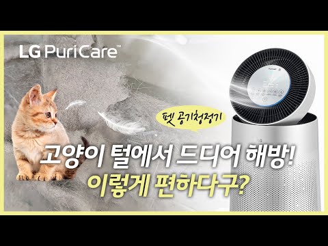 우리집 고양이 털날림 해결에 꼭 필요한~ LG공기청정기 10개월 면제 받고 사용해보세요!