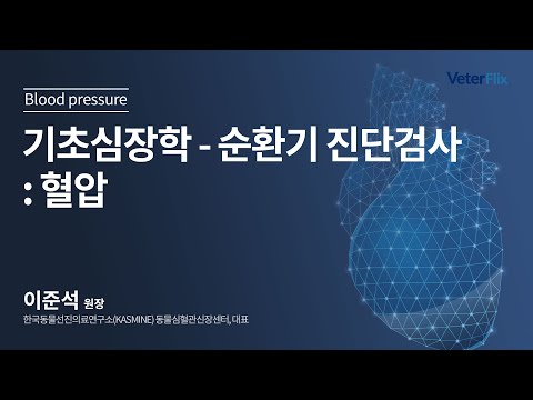 [베터플릭스][기초심장학] 순환기 진단검사 : 혈압(Blood pressure)