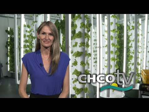 CHCO-TV NewsBreak26 with Vicki Hogarth and Mallory Thompson: July 16, 2024