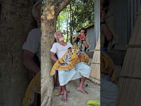 Scaring Grandpa with a Fake Tiger Prank! 😱🐯 Hilarious Reaction! #shorts #prank