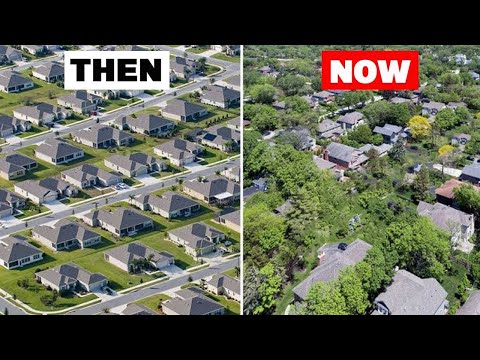 How these suburbs are turning into sustainable villages!