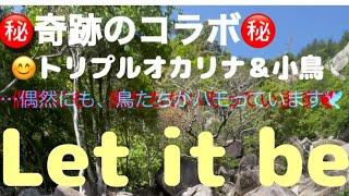 新春コラボ㊗️小鳥とトリプルオカリナ🕊️Let it be🍀オカリナの絵手紙#176🌸YouTube Ocarinaチャンネル！