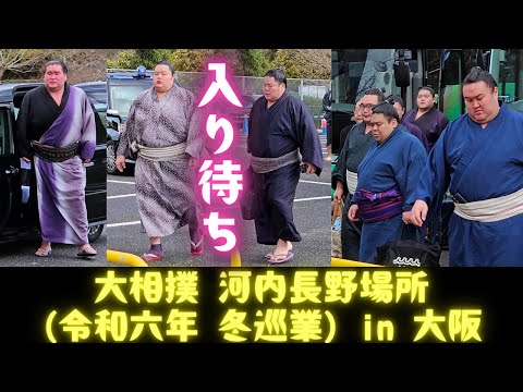 入り待ち ❗大相撲 河内長野場所(令和6年 冬巡業)  大阪/ SUMO wrestlers enter the venue 照ノ富士 琴櫻