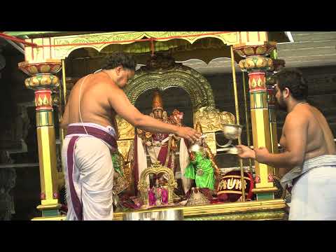 Kanchi Varadarajan - Pallava Uthsavam 2024 - Day 04 -  Part 01 (4K)_46m 30s