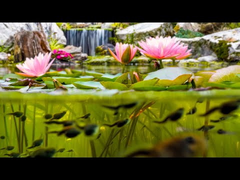 Unexpected Life Emerges at the Giant Ecosystem Pond