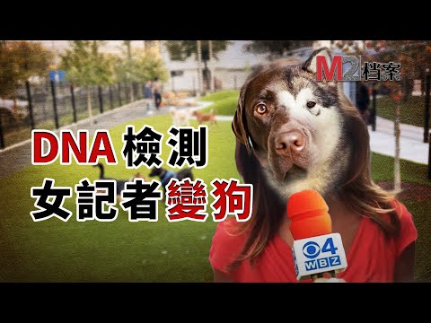 想知道愛犬品種，記者覺得檢測不靠譜，寄出自己的DNA，結果她變成了狗，還是個串兒