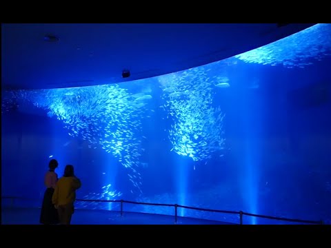 758探訪～名古屋港水族館編4/5～【佳村はるか・本渡楓】